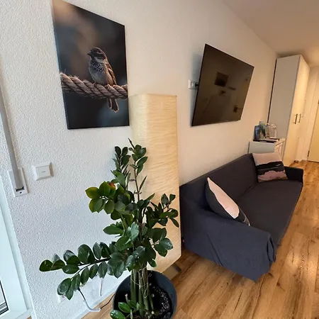 Spatzennest Am Bodensee 아파트 베르마팅겐
